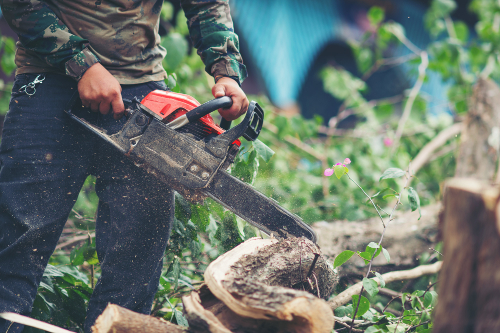 Tree Removal in Calgary